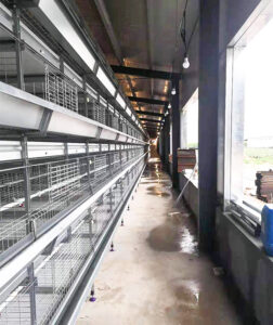 poultry farming equipment supplier for layer chicken cage, broiler chicken cage, battery cage, chicken cage, hen coop, pullet chicken cage 5