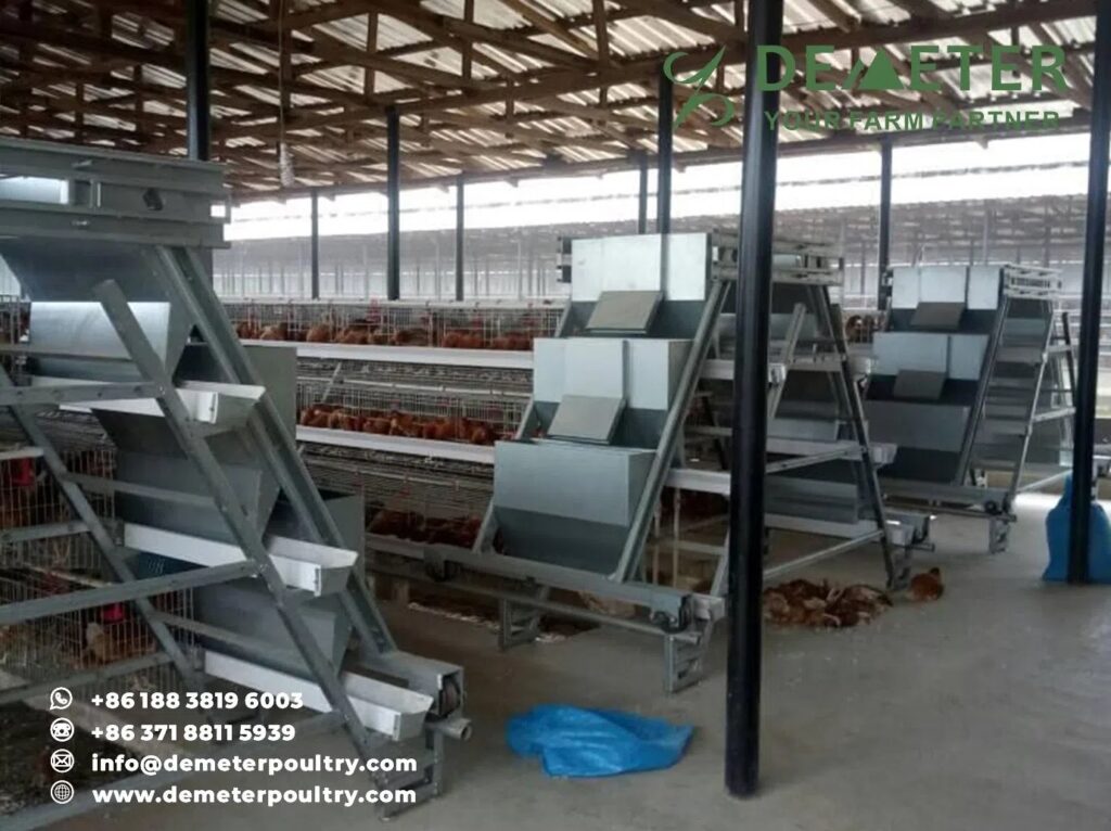 20,000PCS Layer Chicken Cage Project In Ogun Nigeria 2