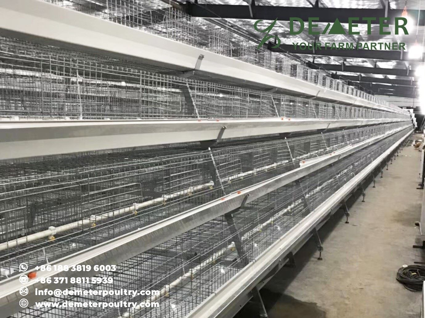 20,000pcs Layer Chicken Cage Project In Nairobi Kenya​
