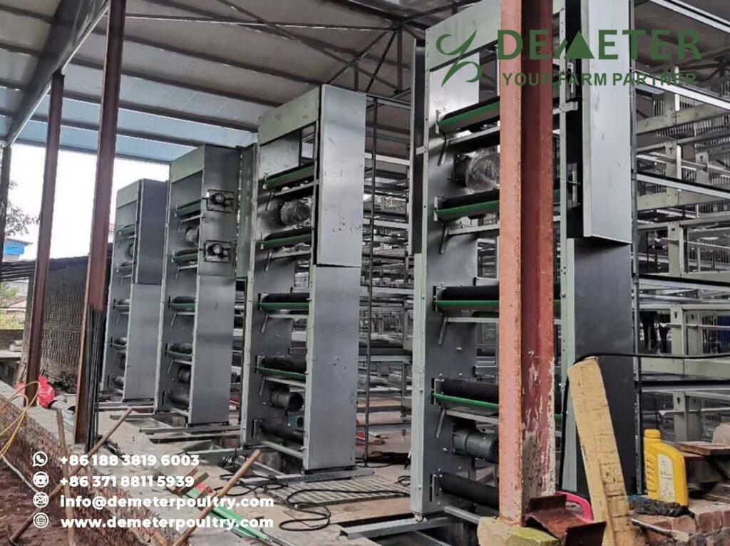 60,000pcs layer chicken cage project in Henan China 1