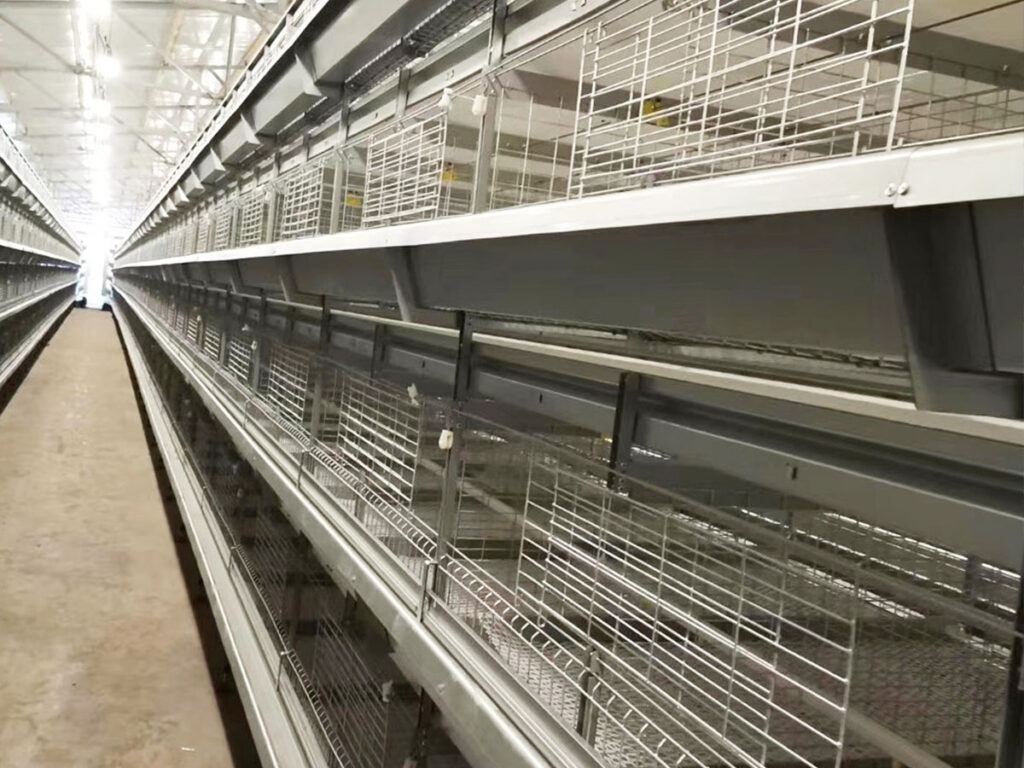 BROILER AND PULLET CHICKEN CAGE FOR POUTLRY FARMING