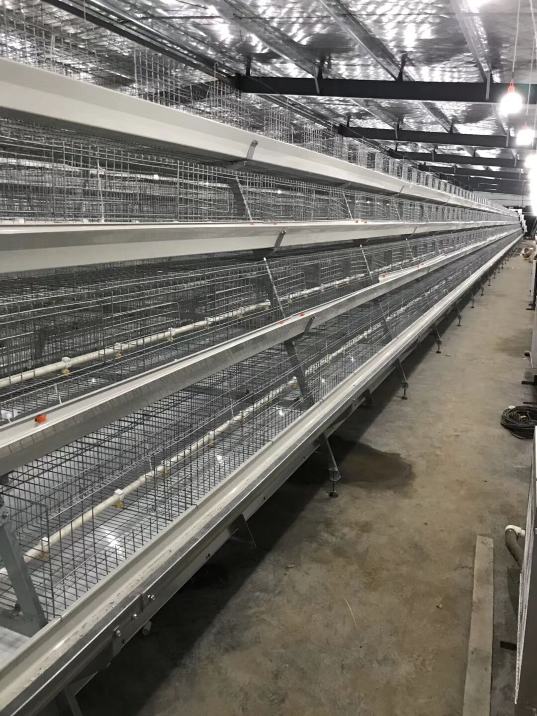 layer chicken cage, battery cage