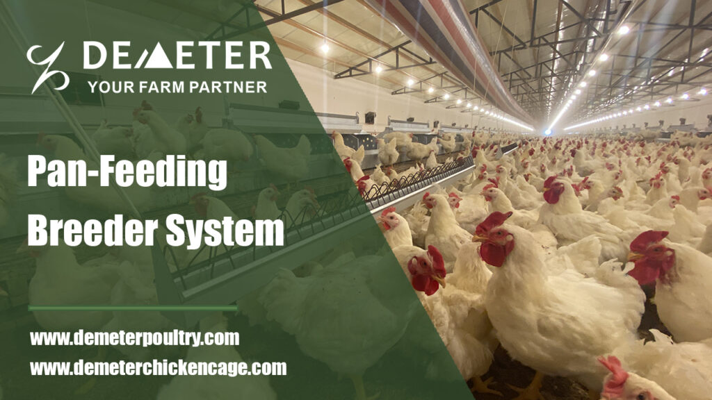 pand feeding breeder system