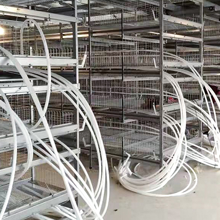 auto broiler chicken cage heating system