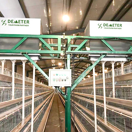 layer chicken cage, a type chicken cage, battery cage 1