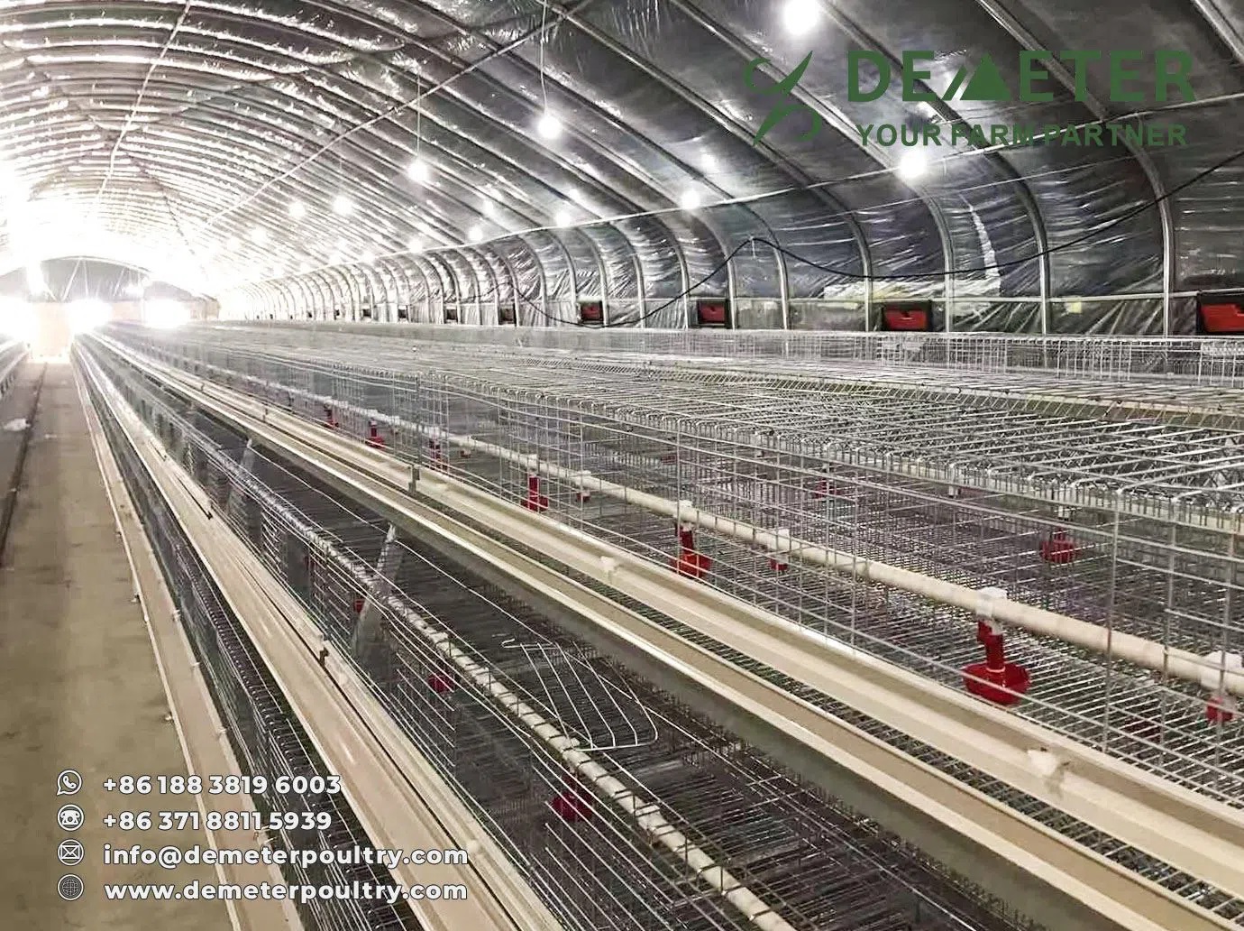 18,000PCS Layer Chicken Cage Project In Tibet China