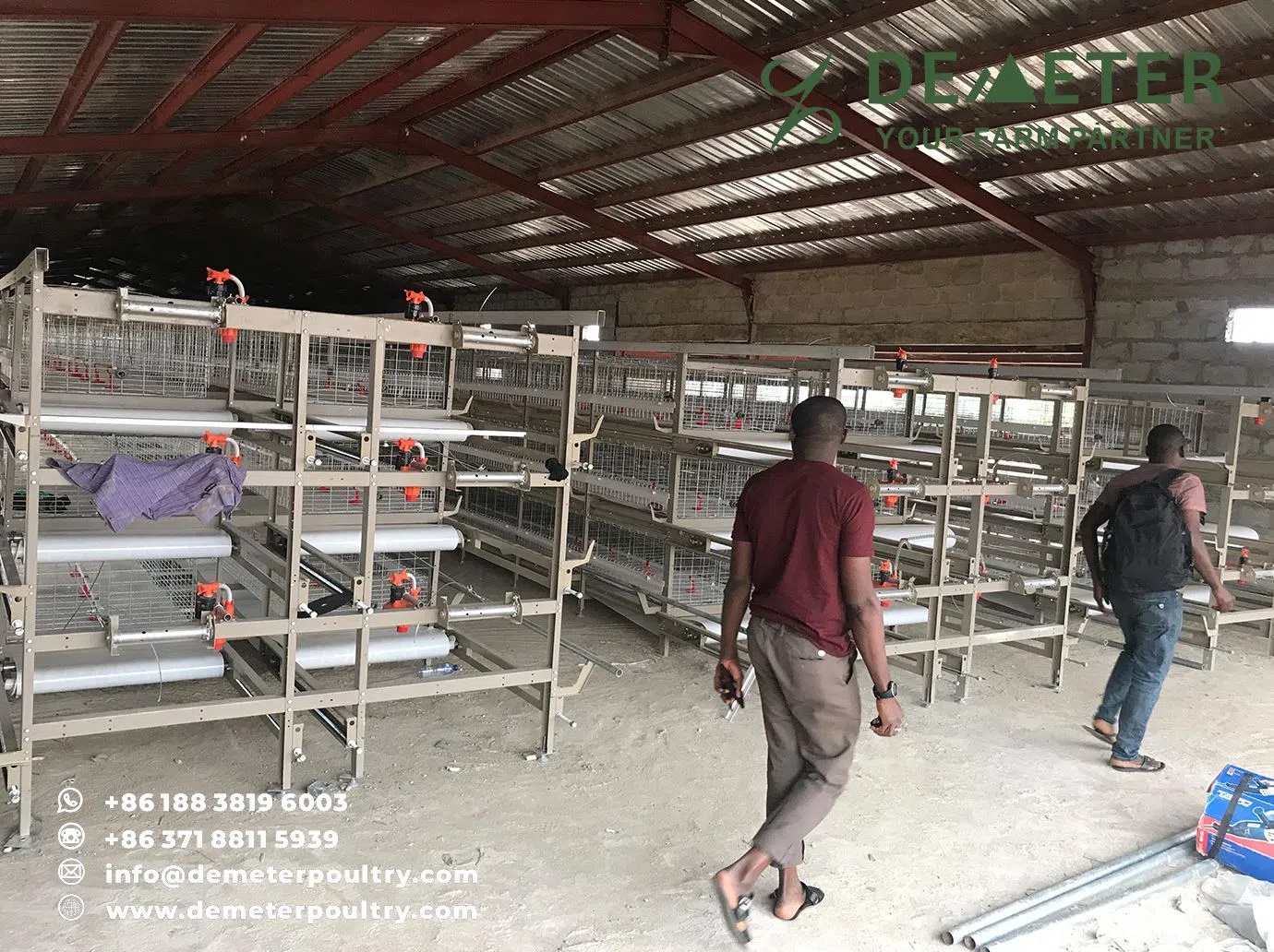 20,000PCS Layer Chicken Cage Project In Abuja Nigeria
