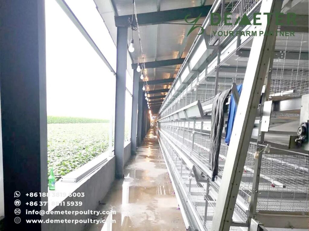 250,000PCS Broiler Chicken Cage Project In Anhui China