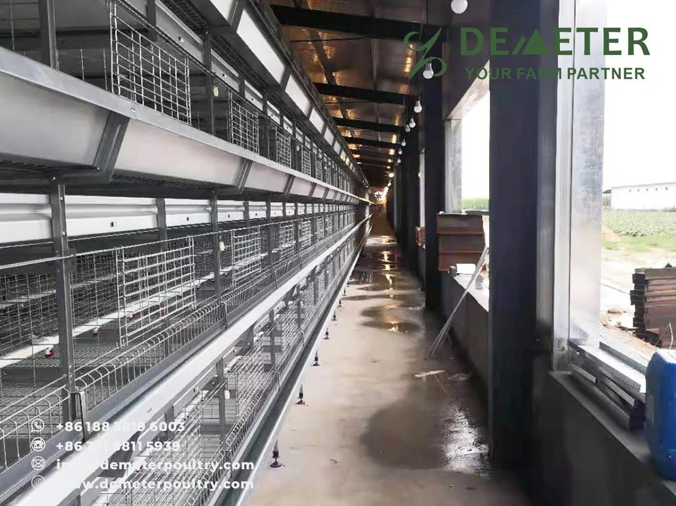 250,000PCS Broiler Chicken Cage Project In Anhui China