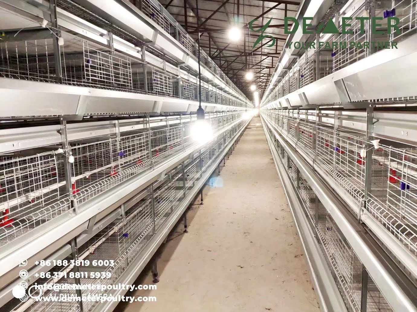 40,000PCS Broiler Chicken Cage Project In Hubei China