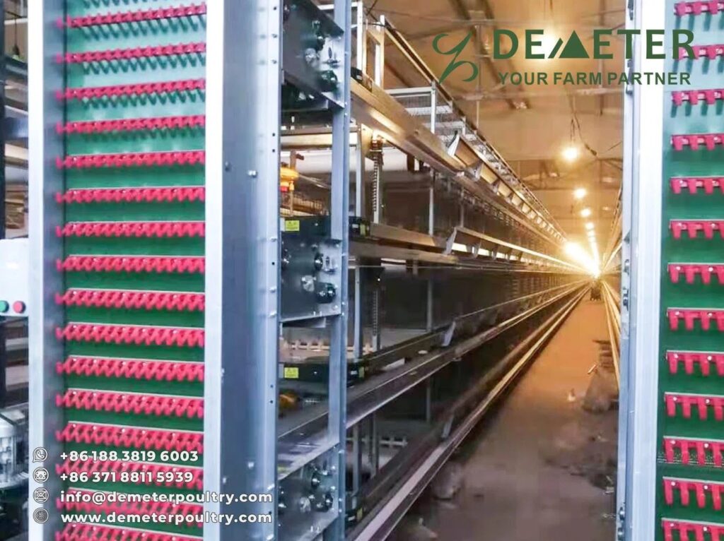 50,000PCS Layer Chicken Cage Project In Sichuan China