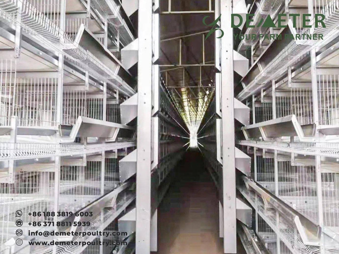 60,000PCS Layer Chicken Cage Project In Lahore Pakistan