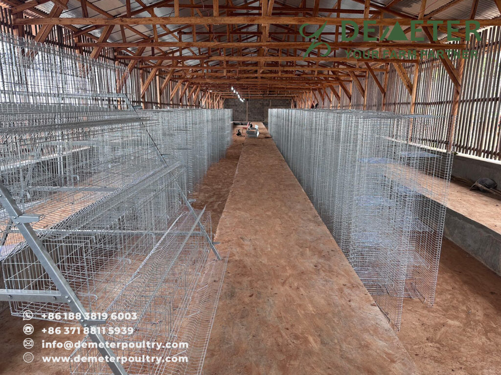 Chicken Cage Cameroon Poultry Cages Project A-Type 4-Tier Layer Battery Cage System for Cameroon Africa from China Factory