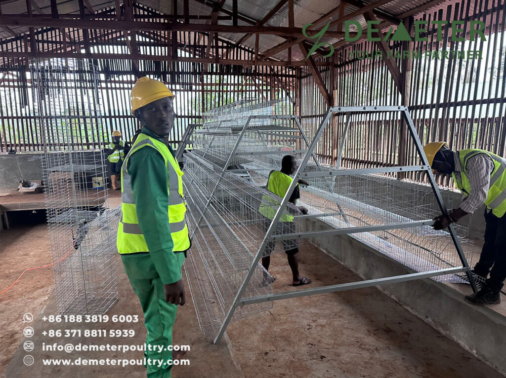 Chicken Cage Cameroon Poultry Cages Project A-Type 4-Tier Layer Battery Cage System for Cameroon Africa from China Factory